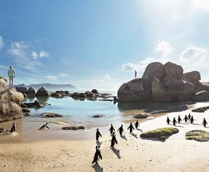 Boulders Beach
